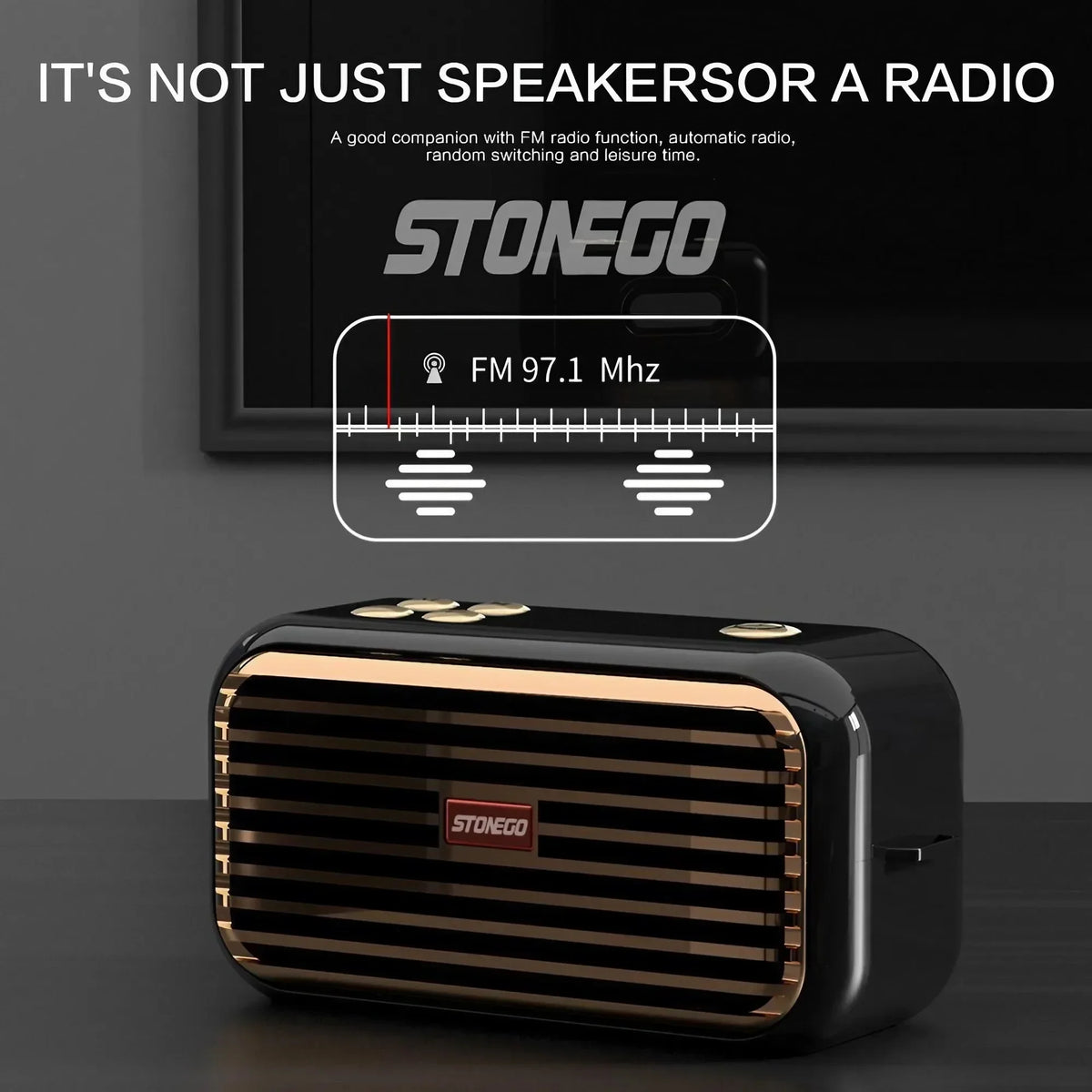 STONEGO 16W Bluetooth 5.0 Portable Speaker IPX5 Waterproof TWS
