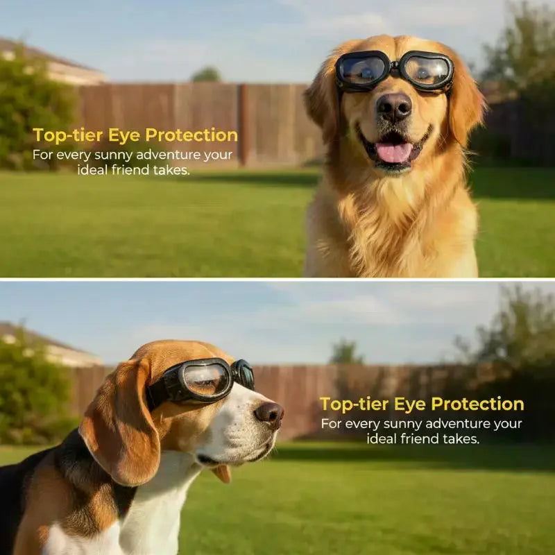 Dog Goggles UV Protection Adjustable Pet Sunglasses | JETTING