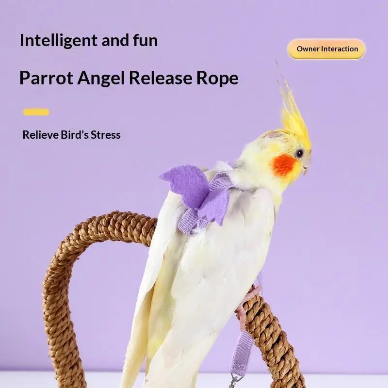 Parrot Harness & Leash Set – Budgie Cockatiel Outdoor Training