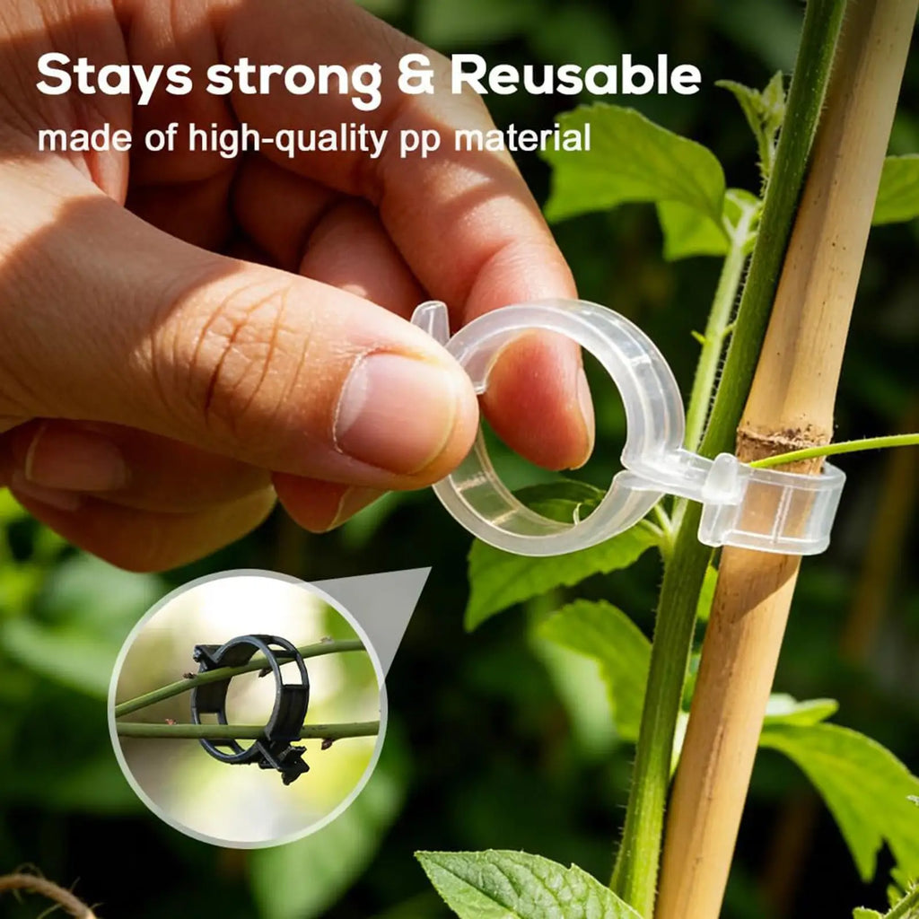 100pcs Tomato Plant Clips – Vine & Stem Support Clamps