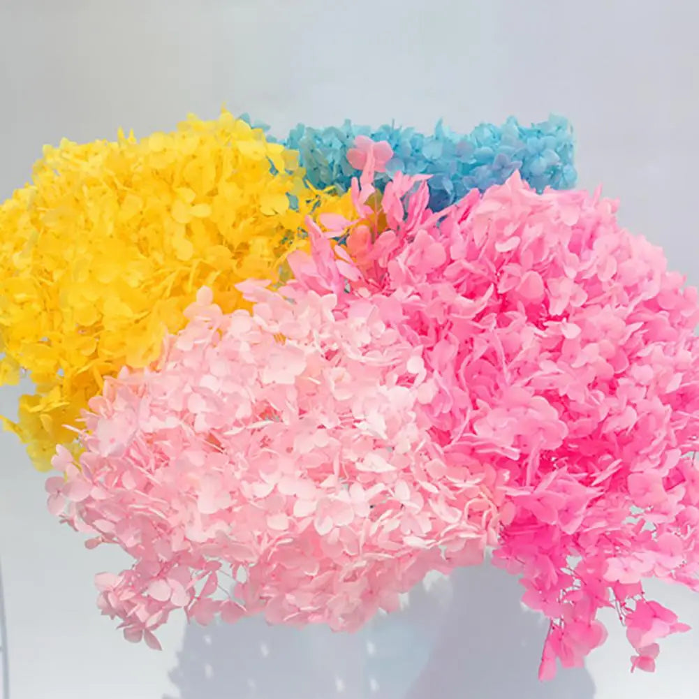 20g Dried Hydrangea Flowers – Resin, Jewelry & DIY Crafts