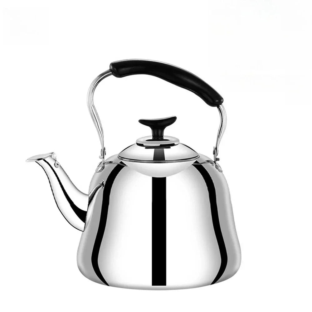 Stainless Steel Whistling Tea Kettle with Infuser & Handle