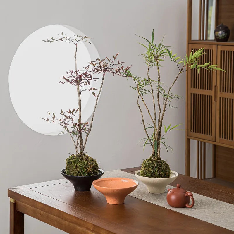 Porcelain Hydroponic Flower Pot – New Chinese Style Orchid Planter