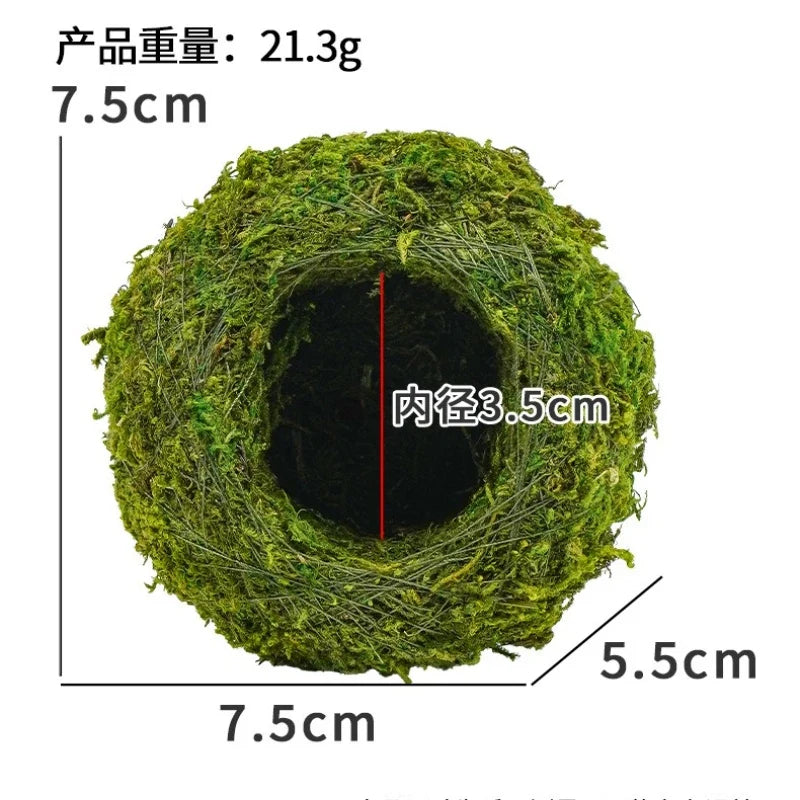 Reptile Moss Hiding Cave – Snake & Lizard Hide Terrarium