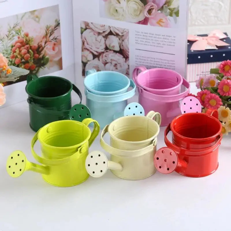 Metal Galvanized Watering Can for Garden – Anti-Rust Iron Pot