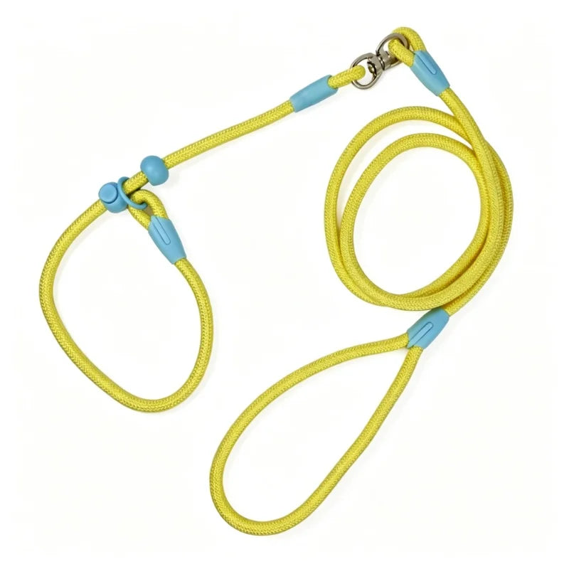 Tangle-Free Nylon Dog Training Leash P-Chain Collar 160cm