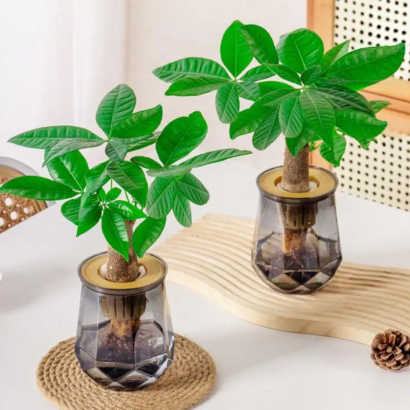 Mini Self-Watering Planter Pot – Transparent Plastic Vase Décor