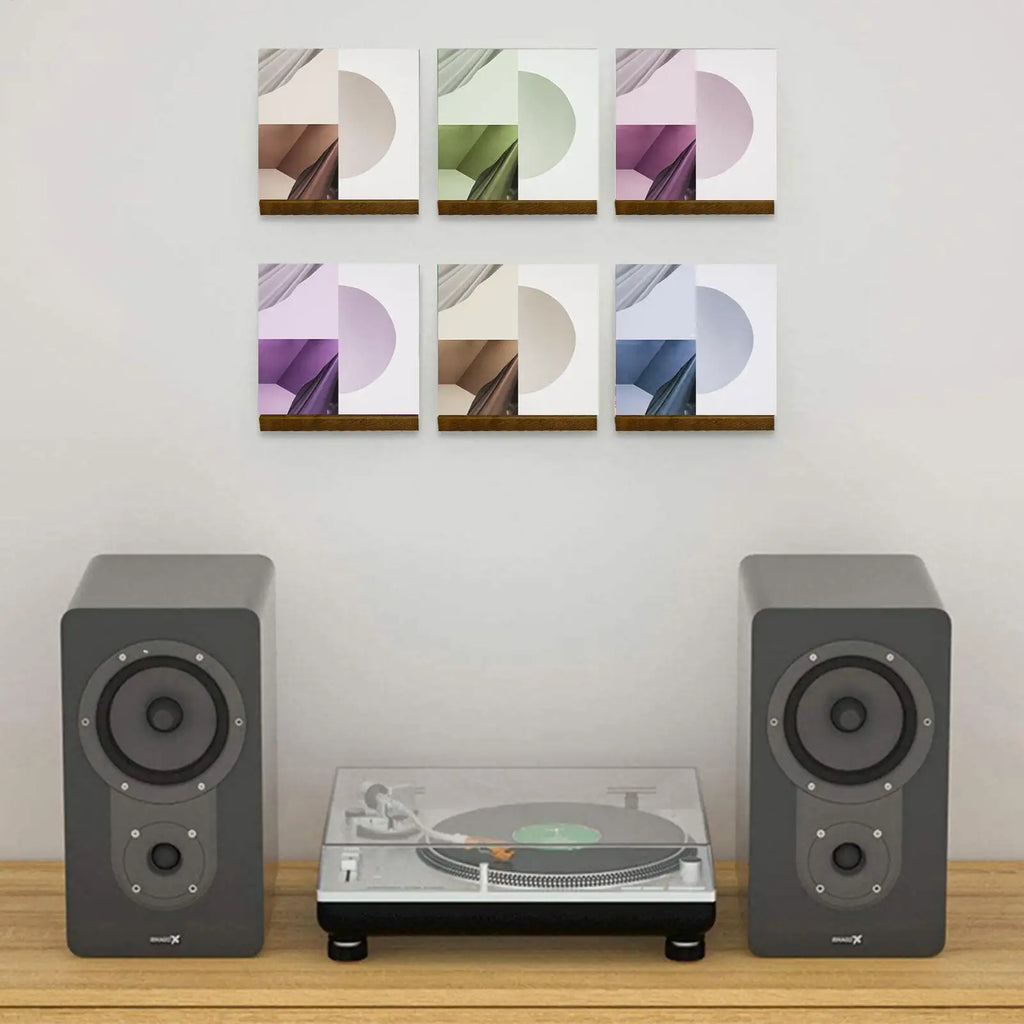 Solid Wood Vinyl Record Wall Shelf – Retro Display Mount