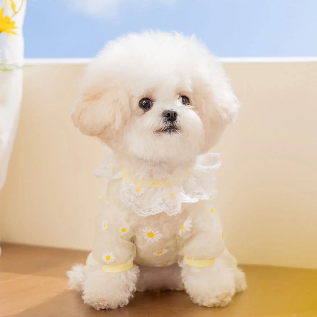 Puppy Breathable Mesh Jumpsuit – Insect-Proof Dog Clothes XS–XL