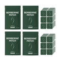 OceAura Berberine Body Patches – Energy & Wellness Support