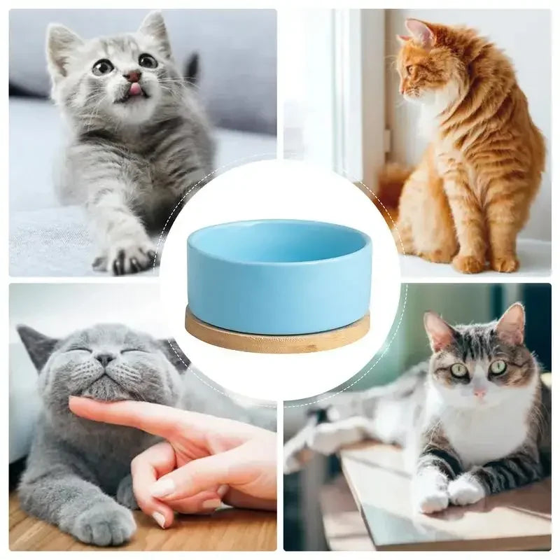 Heated Ceramic Pet Water Bowl – Thermostatic Dog & Cat Feeder