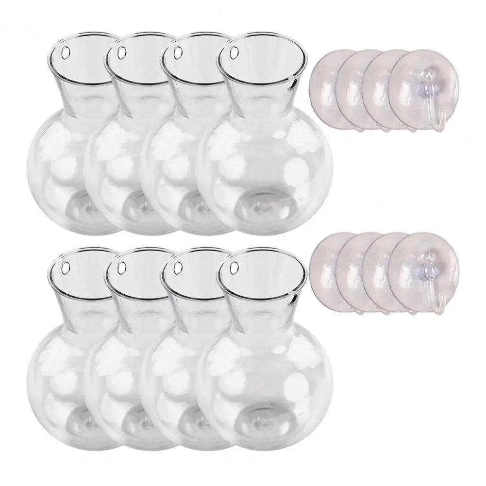 Window Propagation Station Plant Bulb Vase with Suction Cup