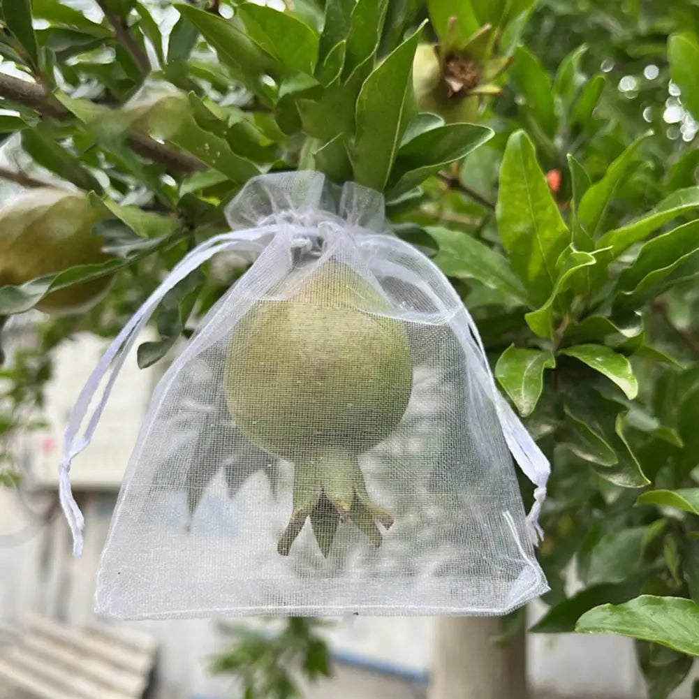 Reusable Mesh Fruit Protection Bags with Drawstring – 10–40 Pack