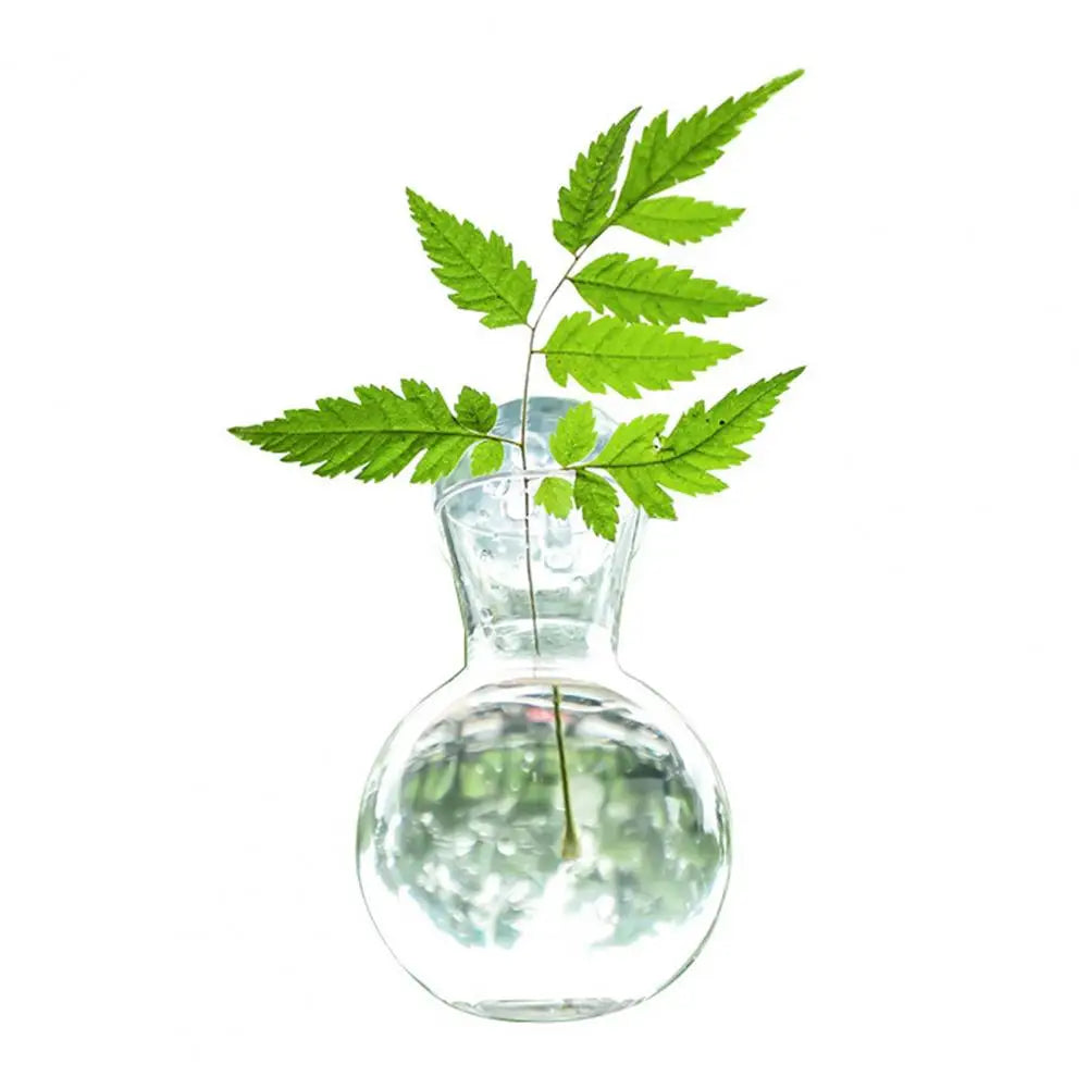 Window Propagation Station Plant Bulb Vase with Suction Cup