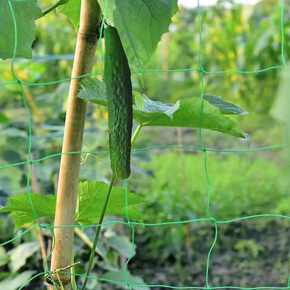 Durable Trellis Netting – Garden Plant Climbing Support Net