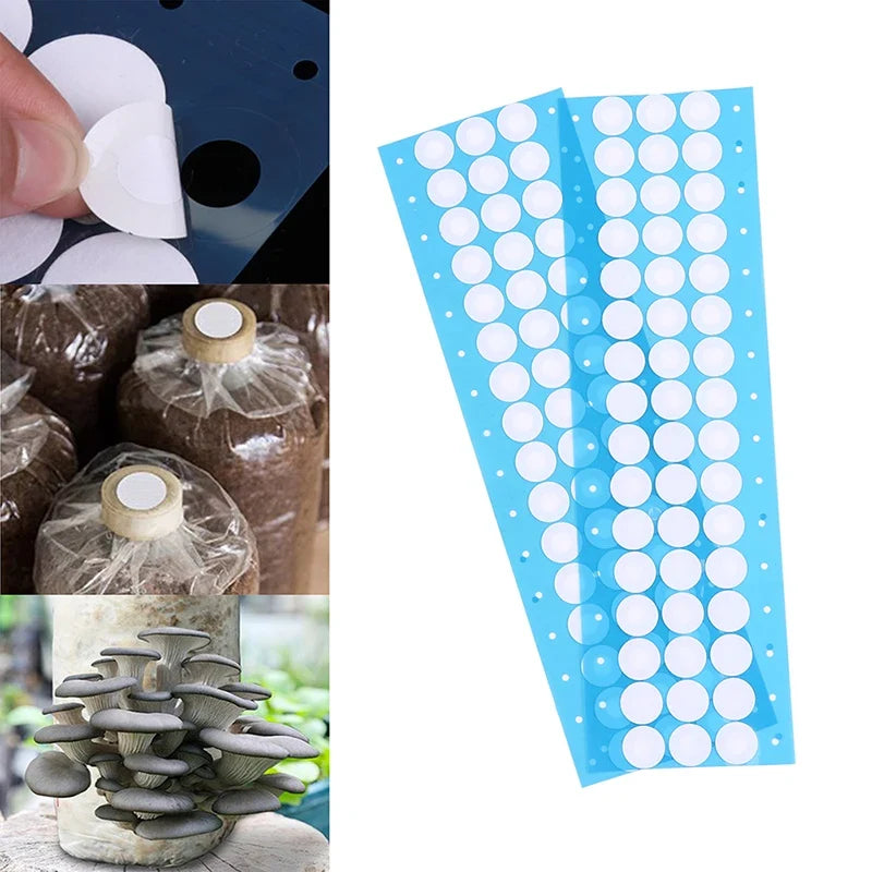 48Pcs EPTFE Filter Stickers 20mm for Mushroom Jar Lids