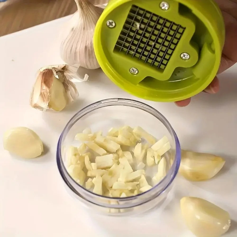 Multifunctional Garlic Press & Ginger Mincer with Storage Case