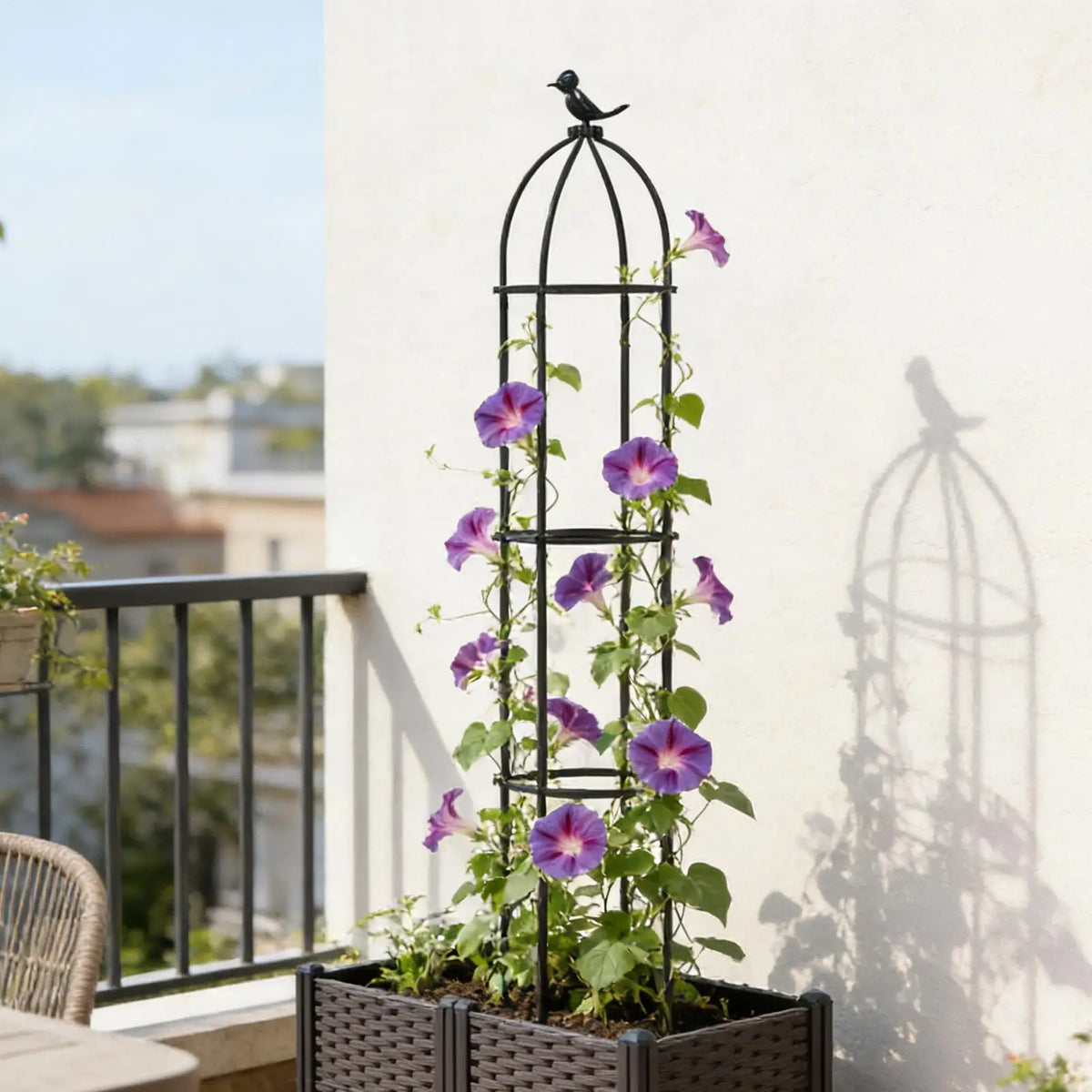 Decorative Plant Trellis | Climbing Support for Rose & Clematis