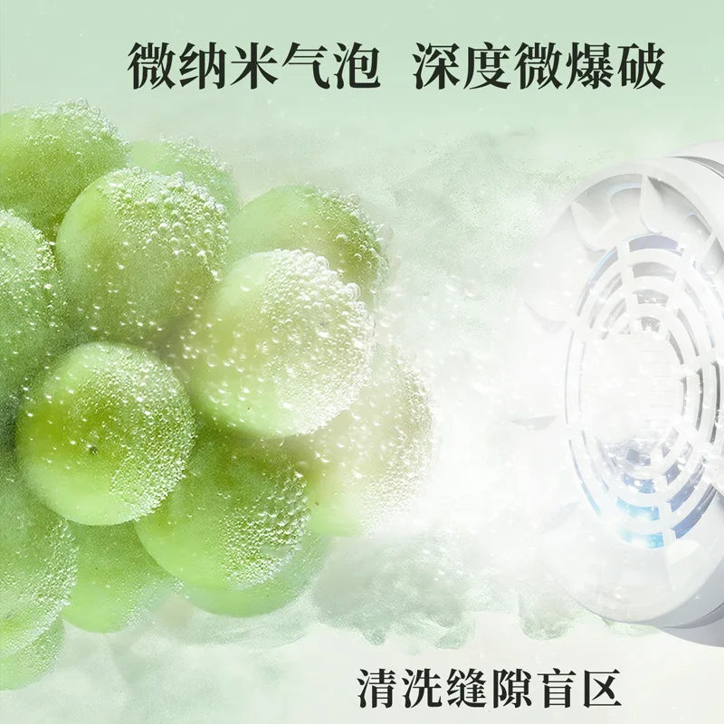 DUTRIEUX Ozone Fruit & Vegetable Washer – Commercial Grade