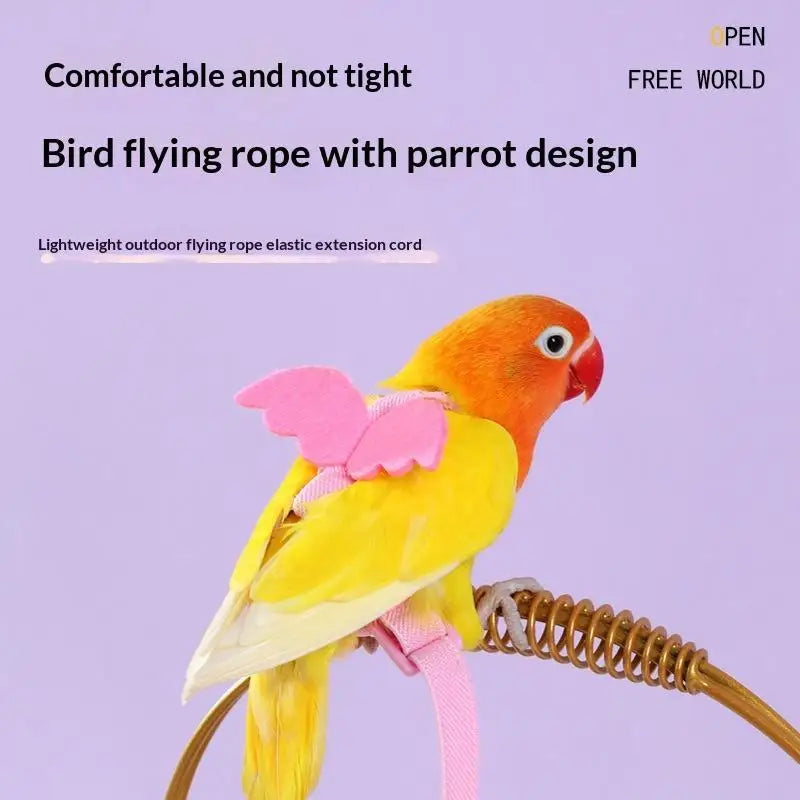 Parrot Harness & Leash Set – Budgie Cockatiel Outdoor Training