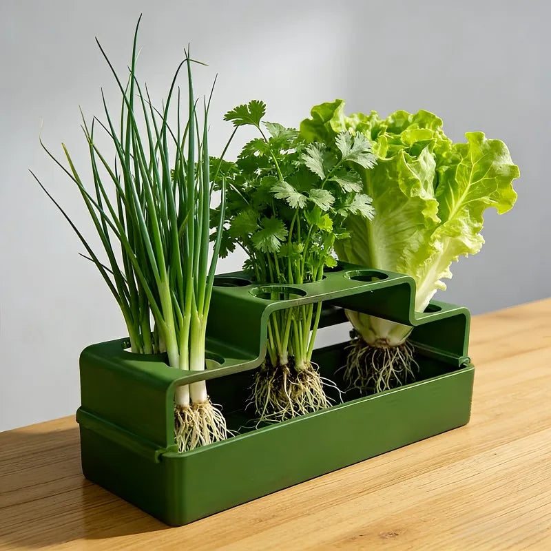 Scallion Hydroponic Growing Box – Soil-Free Reusable Planter