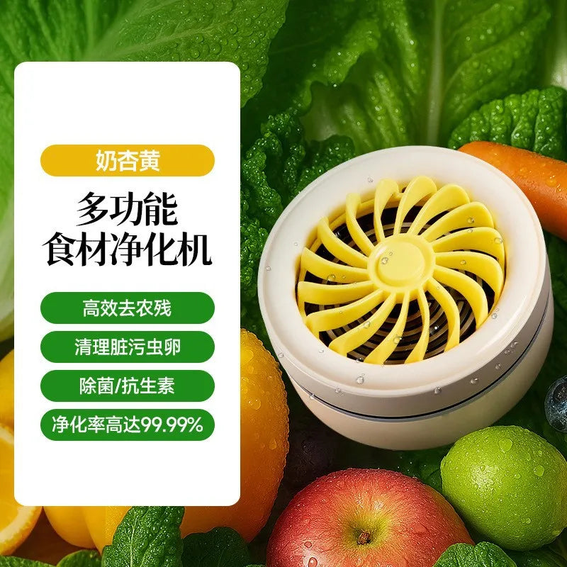DUTRIEUX Ozone Fruit & Vegetable Washer – Commercial Grade