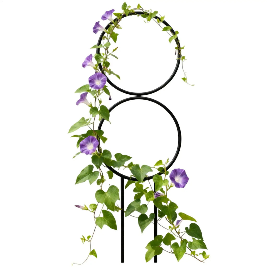 Metal Plant Trellis – Indoor & Outdoor Vine Climbing Support