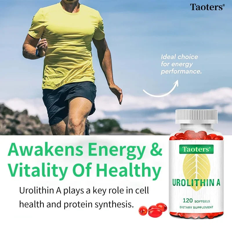 Urolithin A 2000mg Capsules 120ct – Cellular Vitality | Taoters