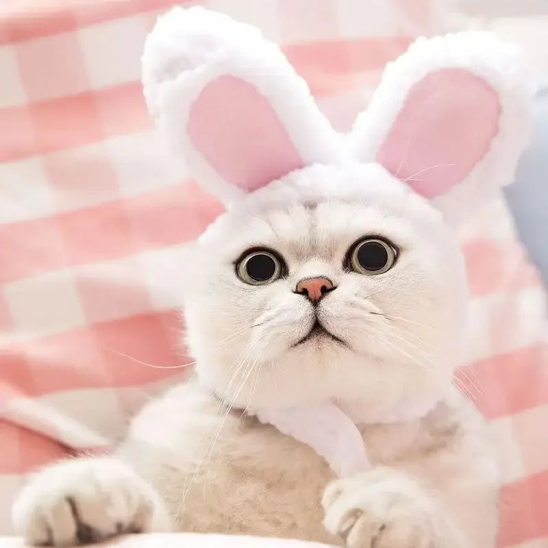 Cute Bear Rabbit Hooded Pet Hat – Soft Fleece Cat & Dog Cosplay