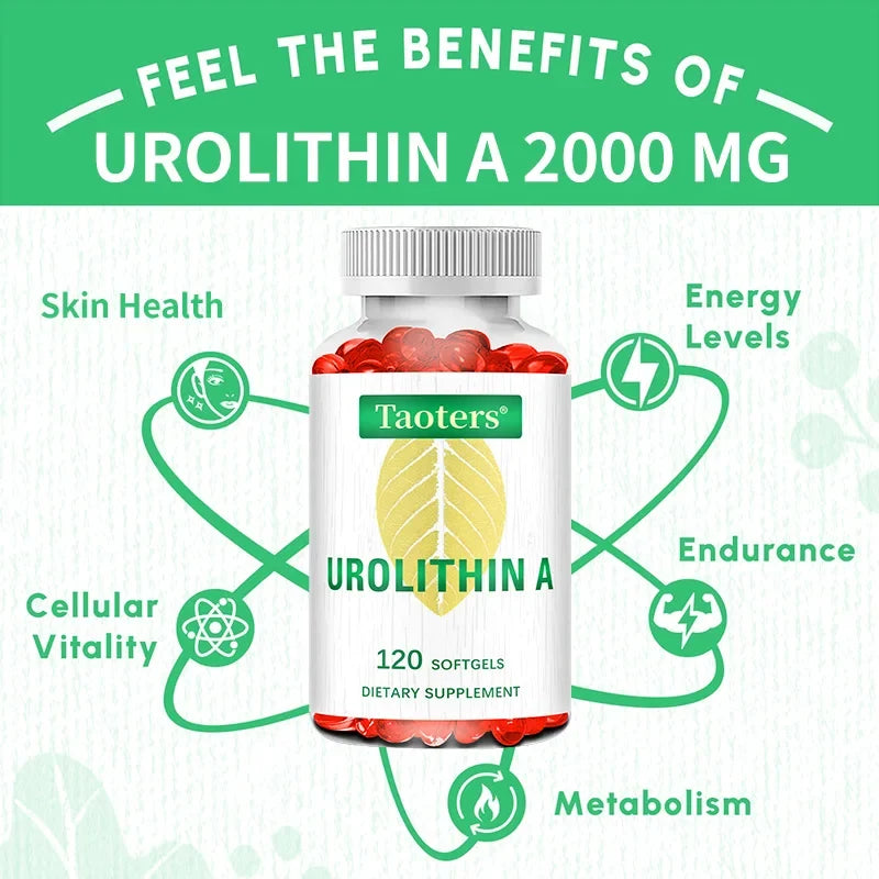 Urolithin A 2000mg Capsules 120ct – Cellular Vitality | Taoters