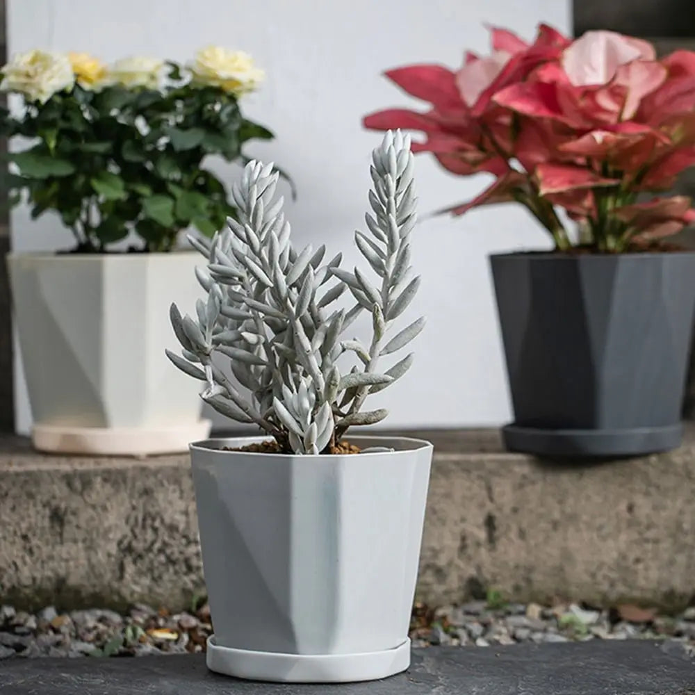 Self-Watering Planter Pot with Handle & Liner | Hydroponic