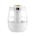 Raugee 1.3L Cool Mist Humidifier – Dual Nozzle USB Night Light