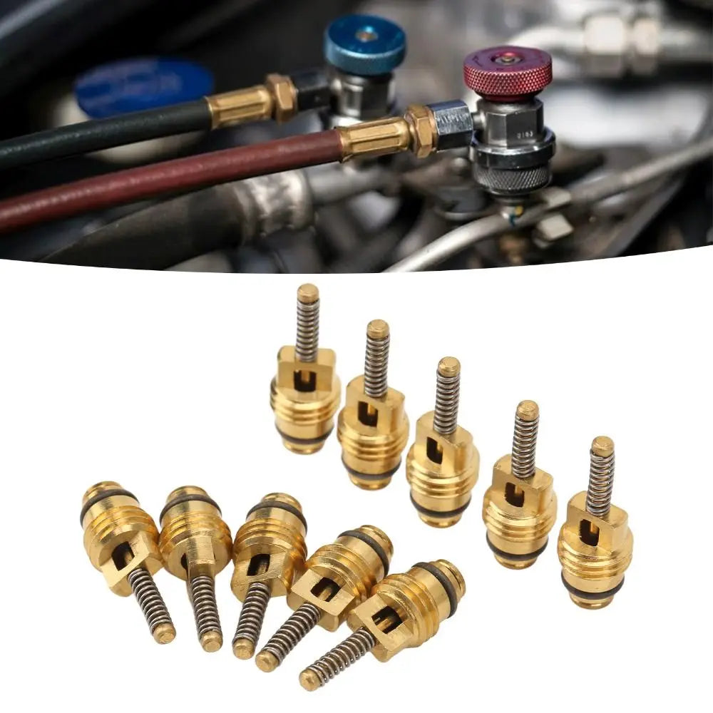 20PCS Car A/C Schrader Valve Core Set – Multi-Size Universal Kit