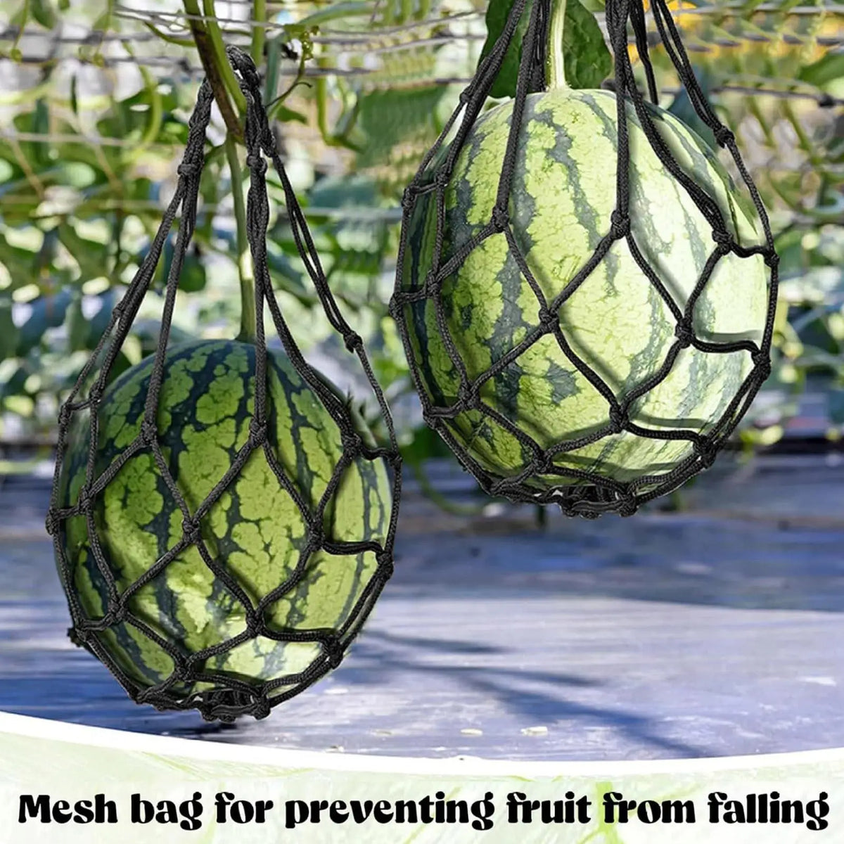 10-Pack Watermelon Hammock Nets – Vertical Garden Fruit Sling Bags