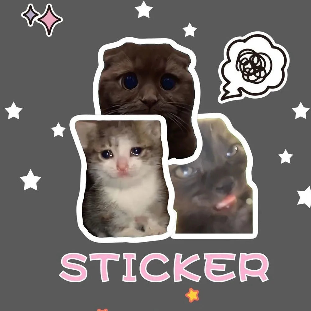 100-Pack Waterproof Meme Graffiti Stickers – DIY Decals