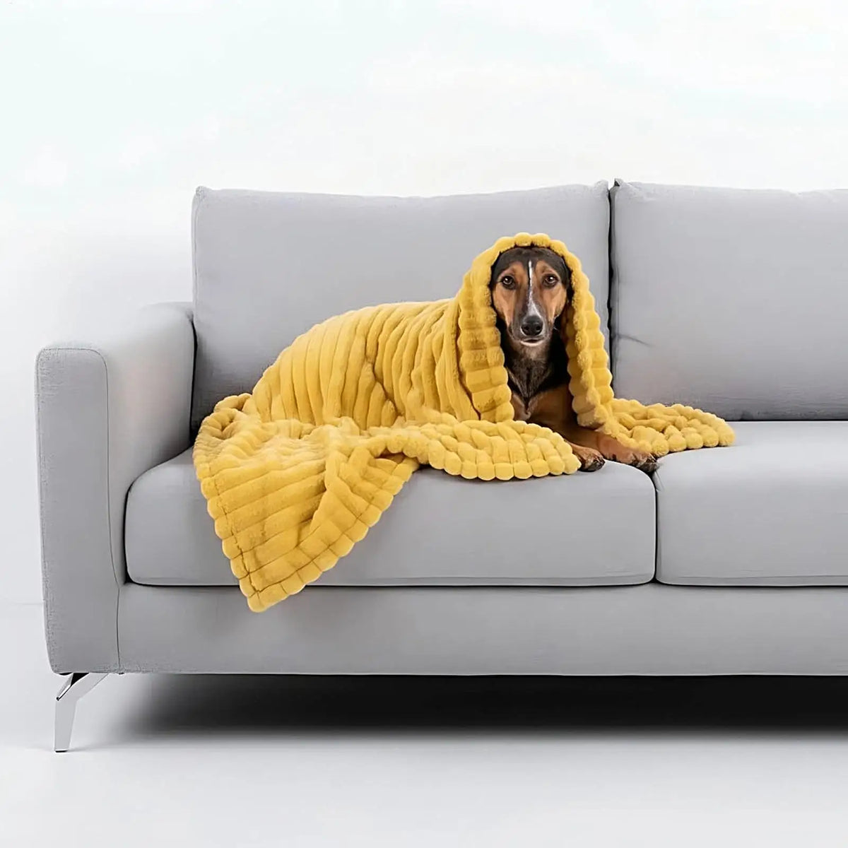 Washable Coral Fleece Pet Blanket for Dogs & Cats – 70x100cm