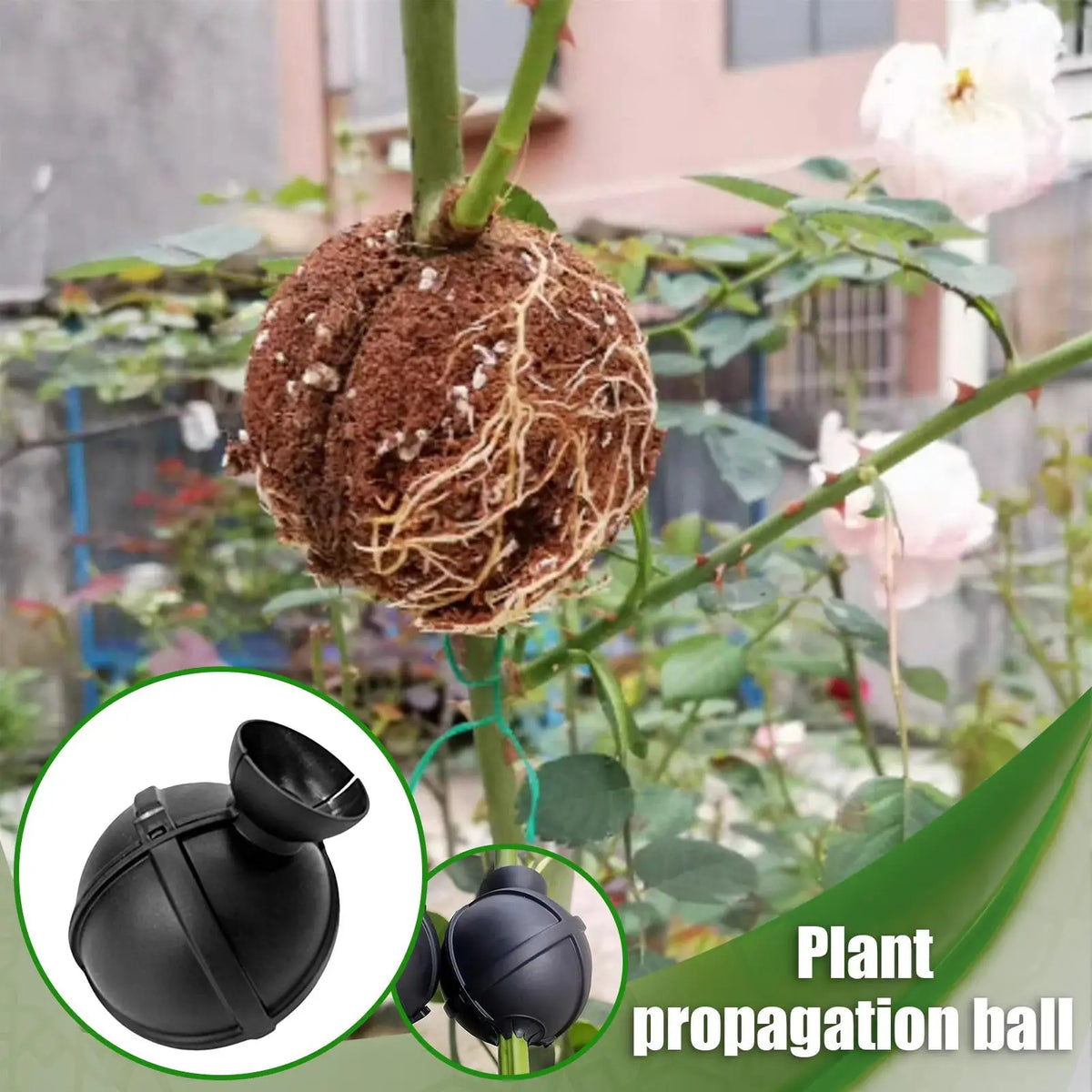 Plant Propagation Ball – Grafting Box for Cuttings & Rooting