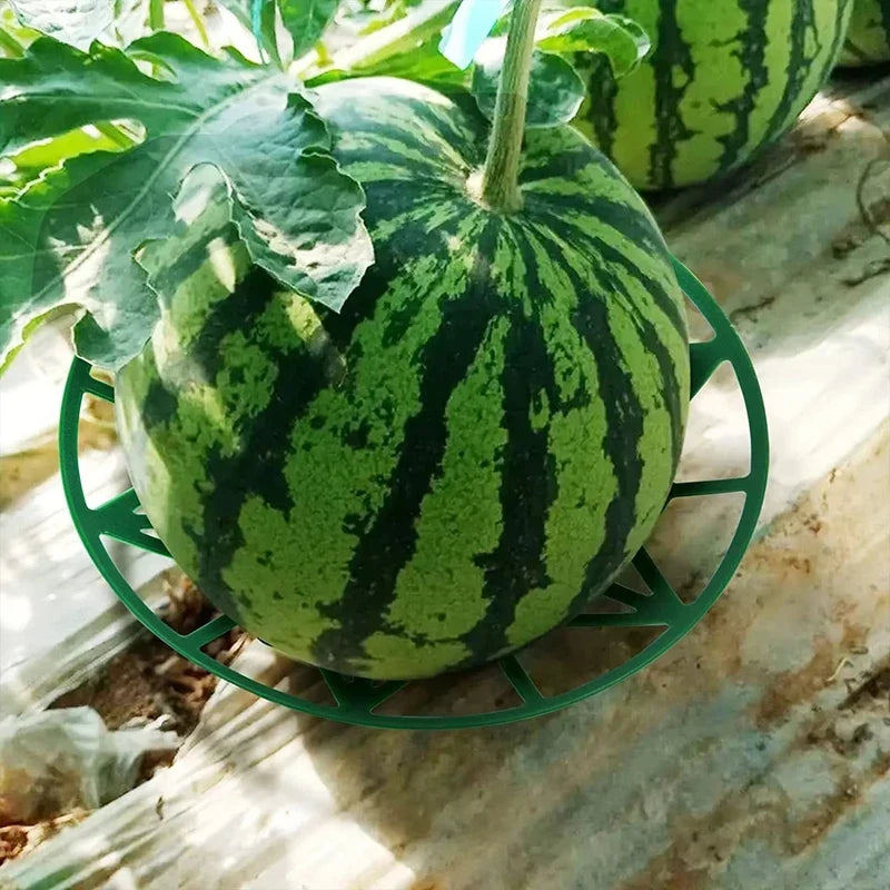 10-Pack Garden Fruit Cradle Trays – Melon & Pumpkin Support