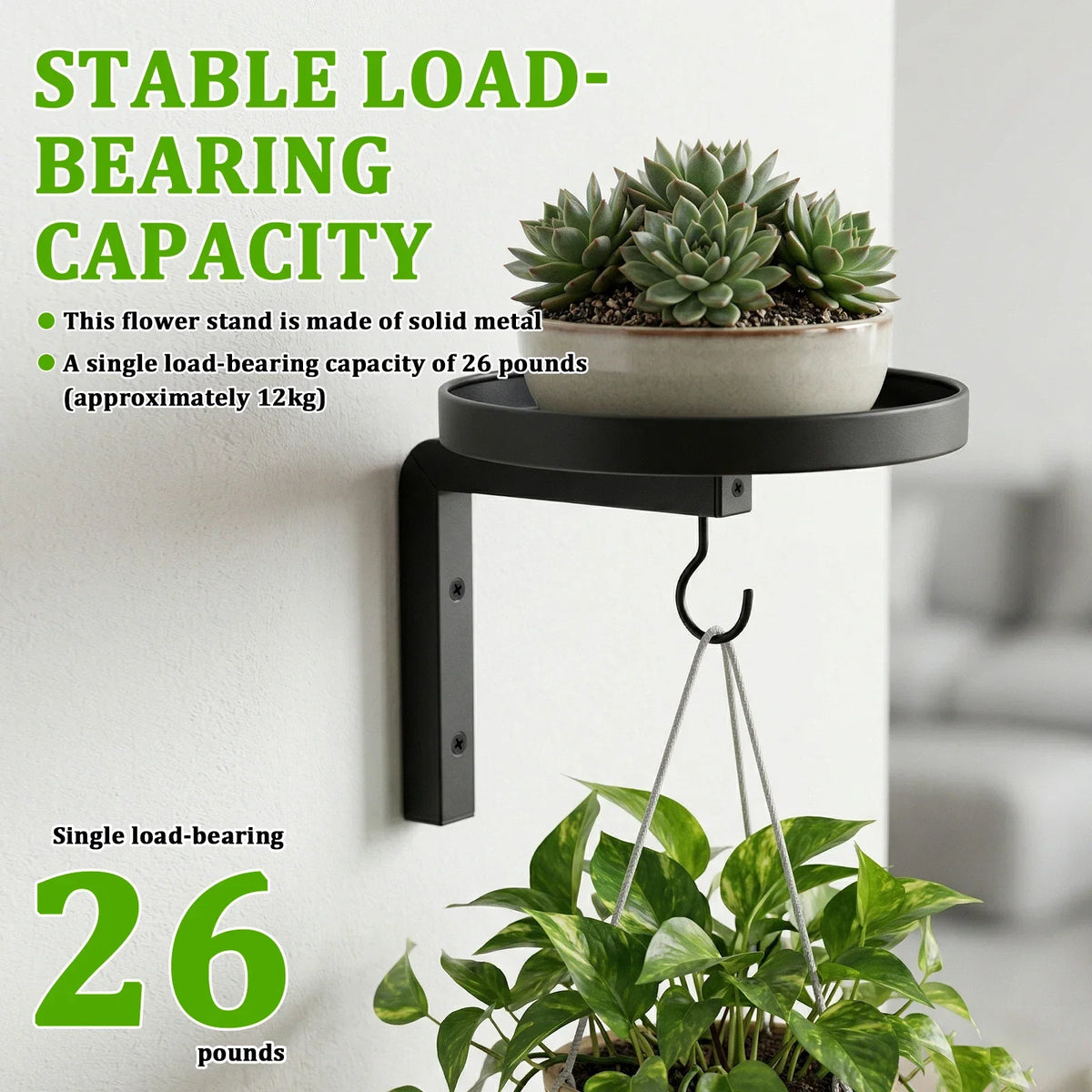 Metal Wall Plant Holder Set 2/3Pcs – Rustproof Flower Pot Stand