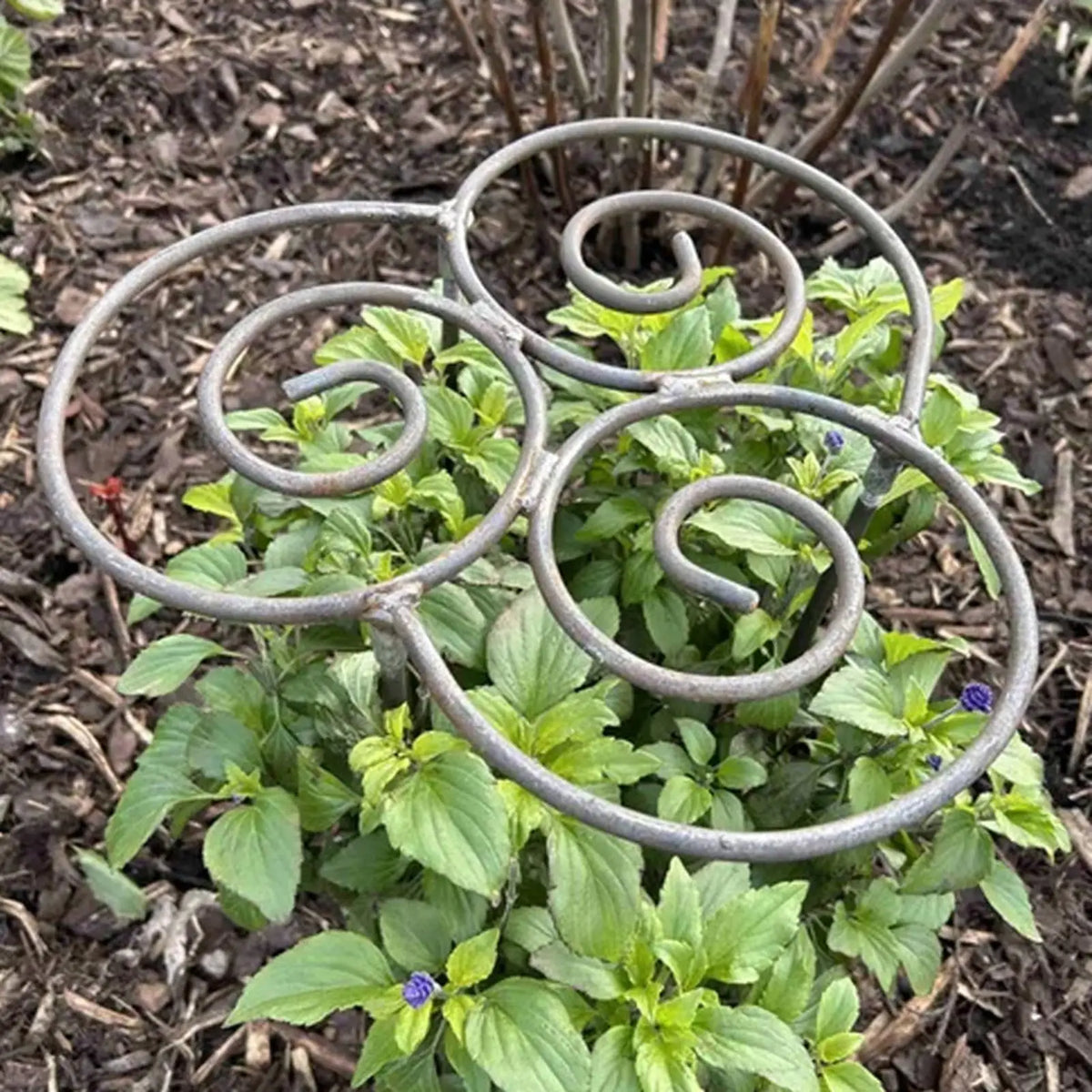 Heavy Duty Metal Peony Cage – Grow-Through Plant Support