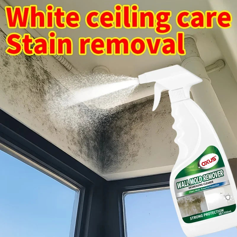 Wall Mold Remover Spray – Anti-Mold Household Cleaner