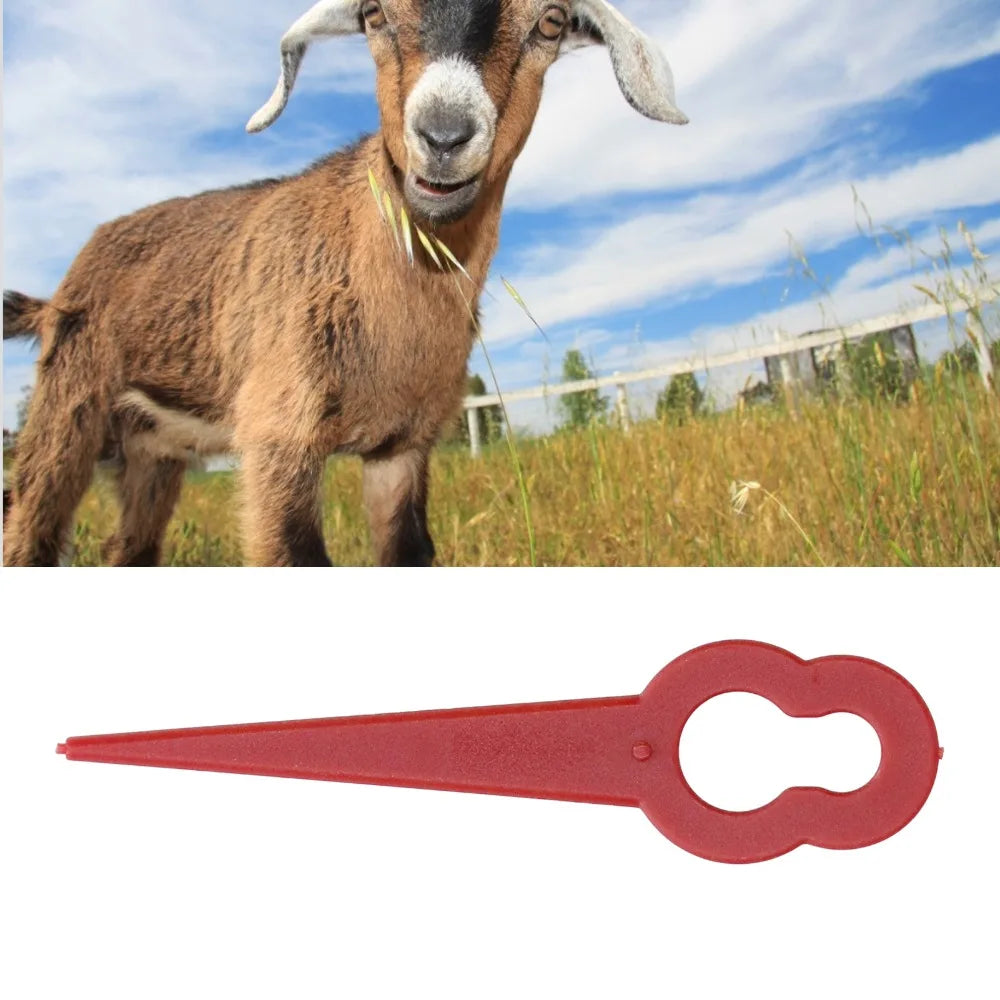 100-Pack 76mm Nylon Grass Trimmer Blades – Red Replacement Set