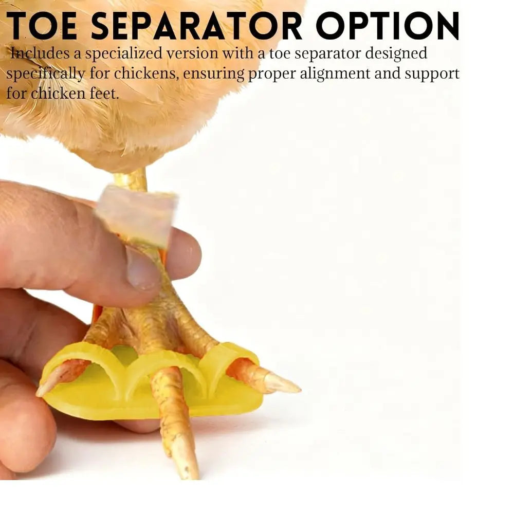 4pcs Adjustable Poultry Leg Splints & Toe Separators for Birds