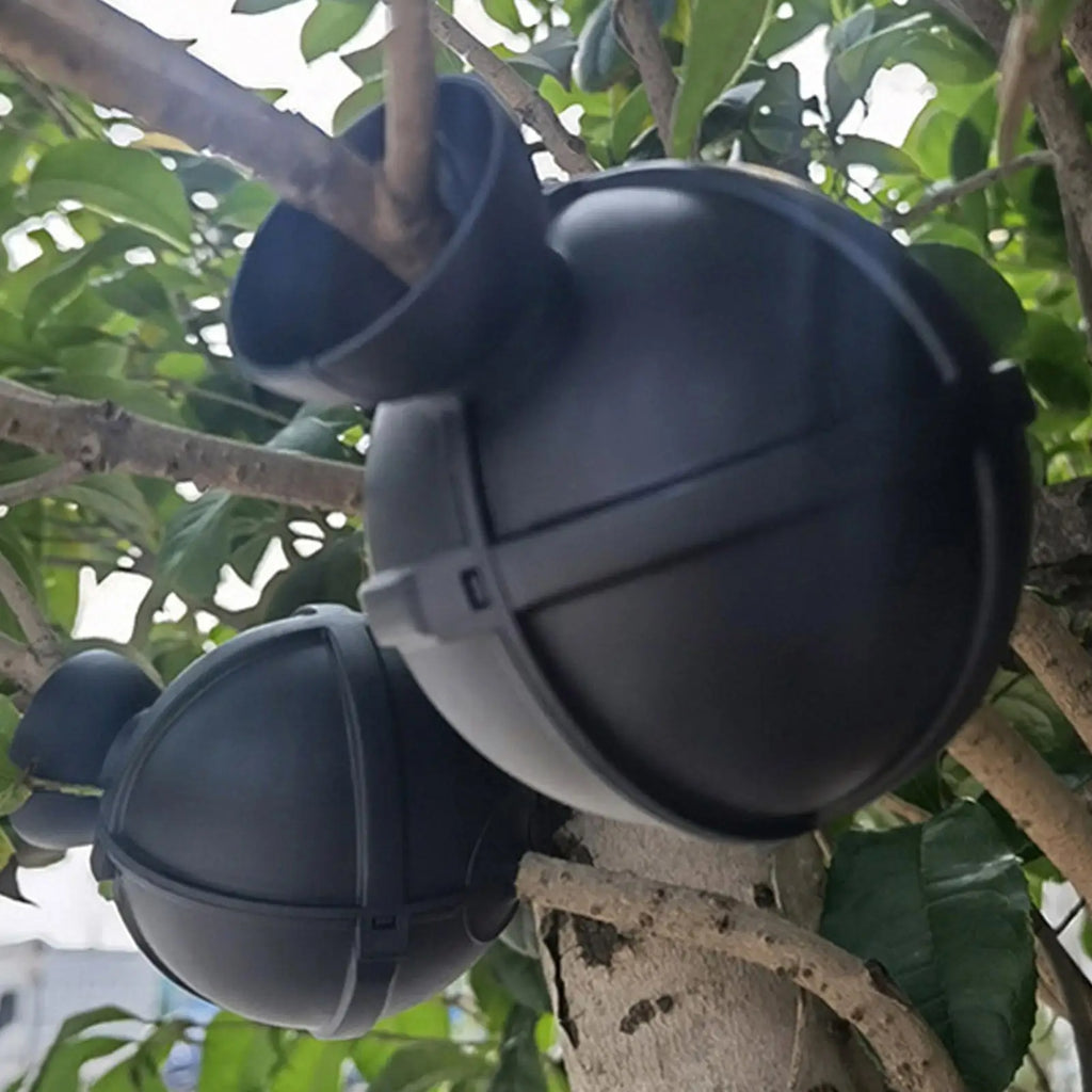 Plant Propagation Ball – Grafting Box for Cuttings & Rooting