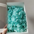 20g Dried Hydrangea Flowers – Resin, Jewelry & DIY Crafts