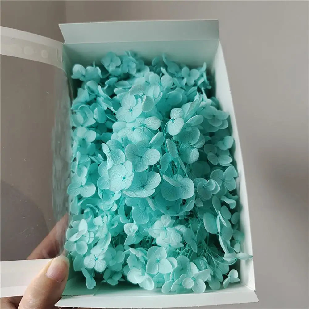 20g Dried Hydrangea Flowers – Resin, Jewelry & DIY Crafts