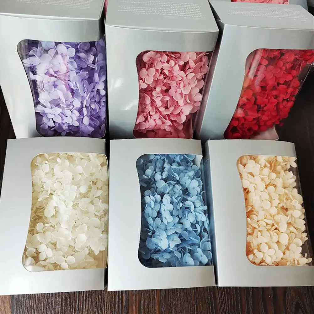 20g Dried Hydrangea Flowers – Resin, Jewelry & DIY Crafts