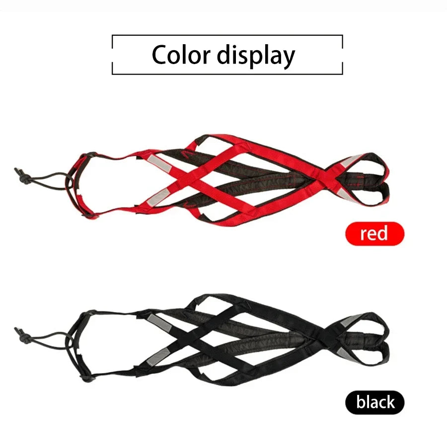 Dog Sled Harness & Weight Training Leash | Husky Scooter