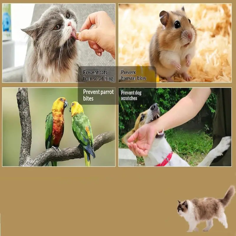 Scratch & Bite Resistant Pet Handling Gloves – HPPE, 1 Pair
