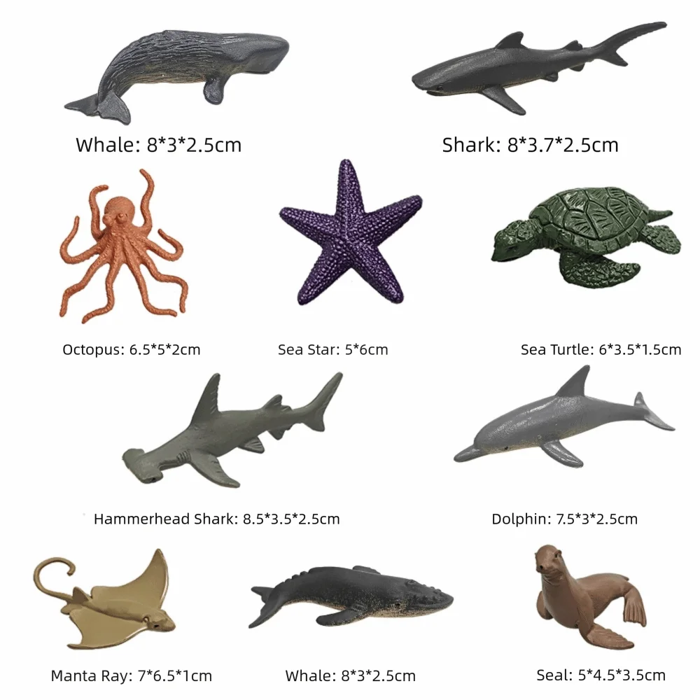 Realistic Sea Life Model Set – Multicolor Marine Animal Figures